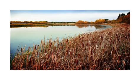 Camrose, Alberta, Canada | Time photography, Camrose, Outdoor