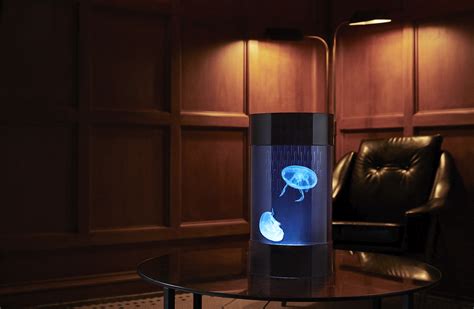 Live Jellyfish Tank Kit - Aquariuman