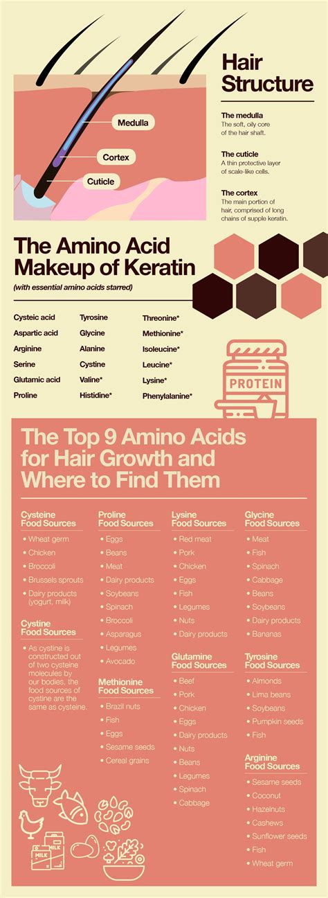 Where to Find the Top Amino Acids for Hair Growth – The Amino Company