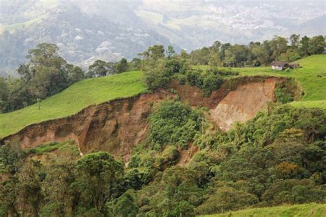 In landslide-prone Colombia, forests can serve as an inexpensive shield