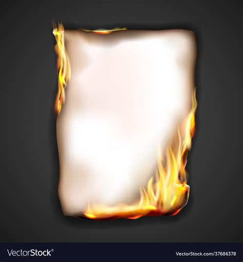 Paper burning in fire flame realistic Royalty Free Vector