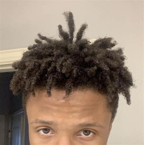 Should I freeform my hair from here or continue to sponge it? : r/Dreadlocks