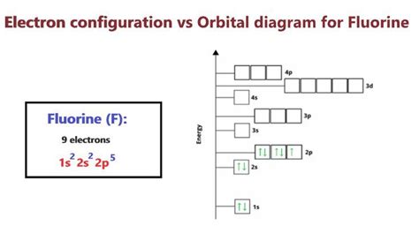 Fluorine (F) Orbital diagram, Electron configuration, and Valence ...