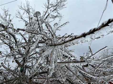 Round Rock, Pflugerville, Hutto ISDs close for third straight day due to ice storm | Community ...