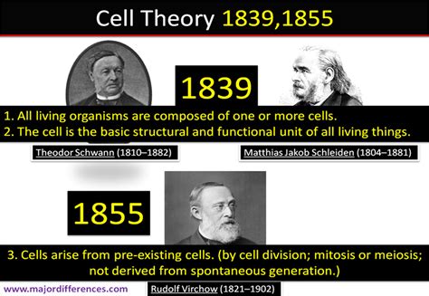 Difference between Cell Theory and Modern Cell Theory