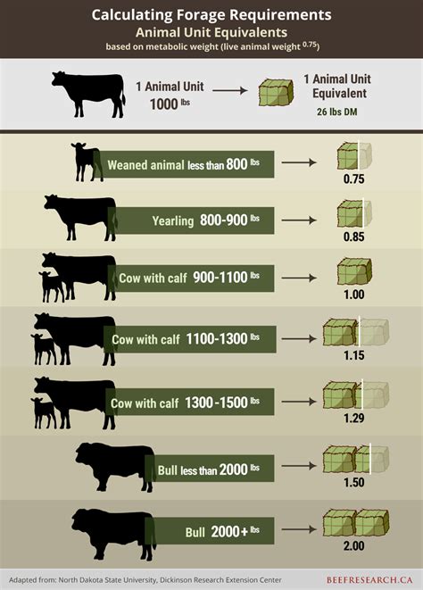 Grazing Management - BeefResearch.ca | Cattle farming, Cattle ranching, Beef cattle