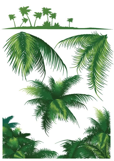 Set of green Palm leaves vector 03 free download