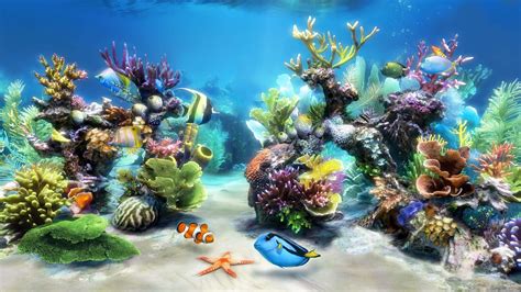 Fish Aquarium Wallpapers - Wallpaper Cave