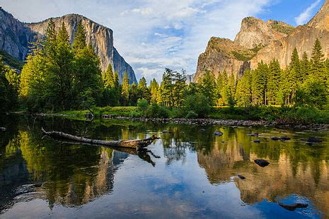 HD wallpaper: grayscale photo of trees, mountains, and lake, lake yosemite | Wallpaper Flare