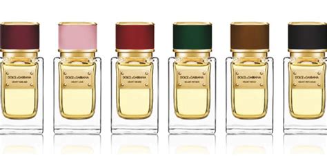 Dolce & Gabbana The Velvet Collection