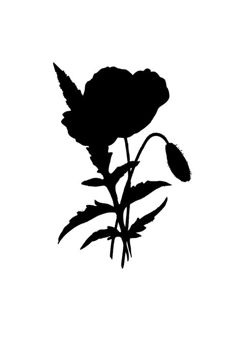 SVG > sunny poppy bloom bright - Free SVG Image & Icon. | SVG Silh