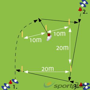 5 Stump Pentagon Drill Ground fielding and throwing - | Sportplan