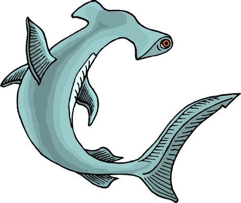 Bull Shark Clipart at GetDrawings | Free download