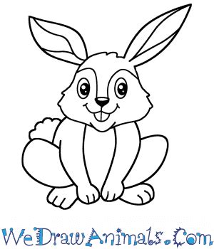 How to Draw a Cartoon Rabbit