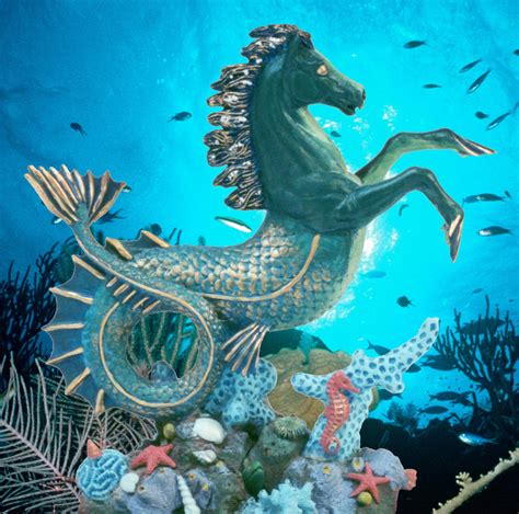 Seed to Feed Me: THE SEAHORSE