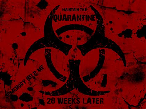 28 Weeks Later - 28 Weeks Later Wallpaper (20161810) - Fanpop