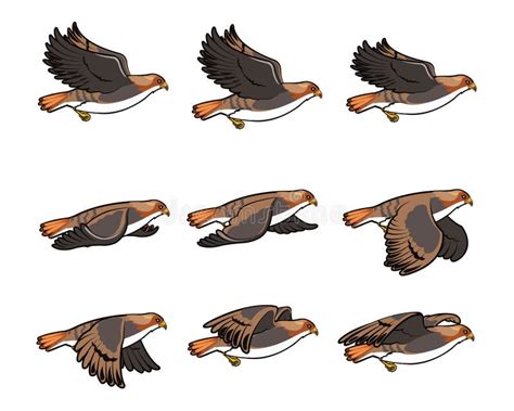 Transparent Bird Sprite Sheet - Jake Film Analysis