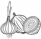 7 Playful Onion And Garlic Coloring Pages For Kids  sketch template