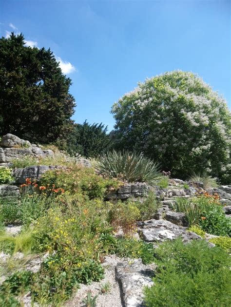 Botanic Gardens Cambridge | Botanical gardens, Garden, My pictures