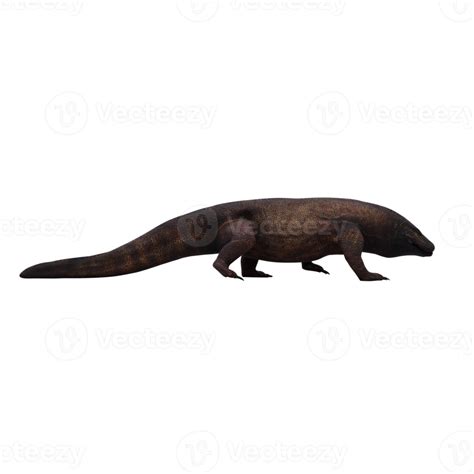 Comodo dragon isolated 18875950 PNG