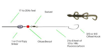 Bass Fishing Techniques