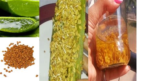 How to Make Methi oil at Home DIY Fenugreek Hair Oil Homemade Methi Oil Aloe Oil for Hair Growth ...