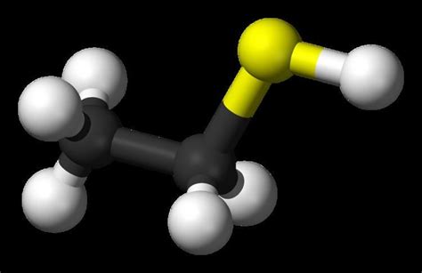 Ethanethiol - Alchetron, The Free Social Encyclopedia