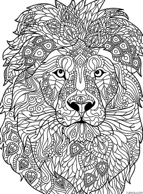 Lion Mandala Animal Coloring Page » Turkau