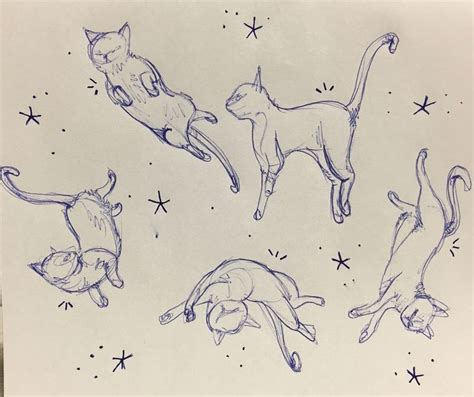 Flying Cat Pattern Idea