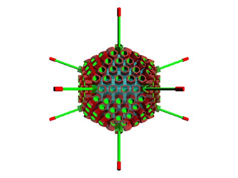 Adenovirus