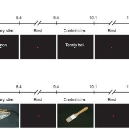 A. A typical example of gustatory imagery-induced magnetic fields. B.... | Download Scientific ...