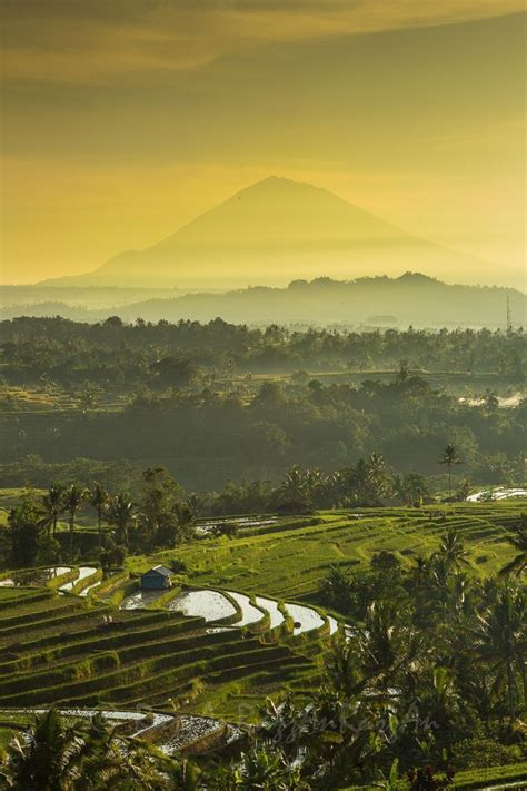 Jatiluwih, Bali | Bali travel, Bali lombok, Bali island