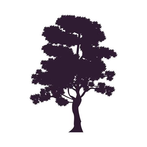 100,000 Shadow tree Vector Images | Depositphotos