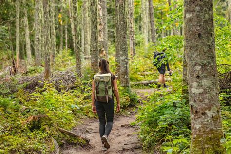 Where to Go Hiking in Oregon Near Cannon Beach