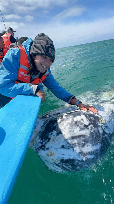 Baja Mexico's Best Tour: Guerrero Negro Whale Watching