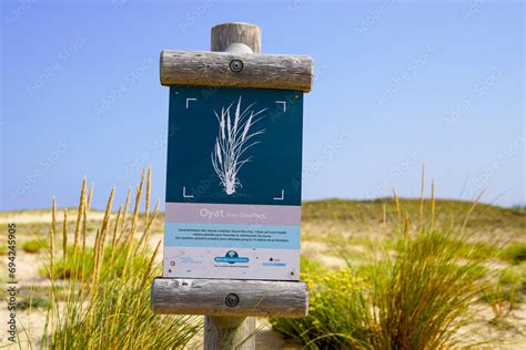 Foto de Office national des forets French panel preservation of sand ...