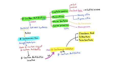 Beta Lactam Antibiotics - TCML - The Charsi of Medical Literature