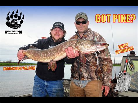 Best Northern Pike Fishing Lures. These are deadly on Pike!