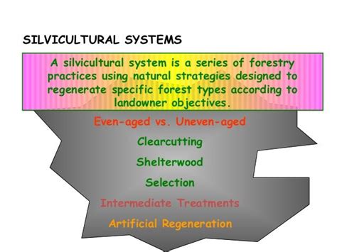 Silvicultural systems