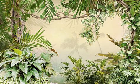 Tropical Rainforests Wallpaper