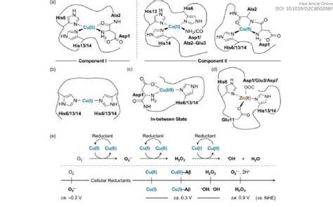 Metal-binding properties of A . Examples of structures of (a ...