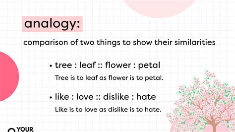 Analogy - Biology Simple