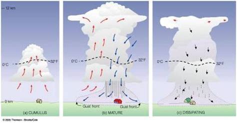 Example Site - MANKATO WEST METEOROLOGY:THE weather phenomena PROJECT