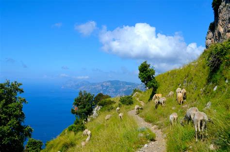 Amalfi Coast