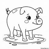 Playful Pig In Mud Coloring Page  Pagescom sketch template