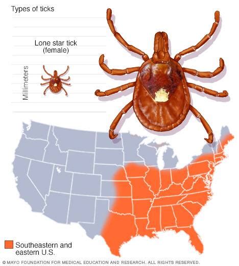 A Mayo Clinic guide to tick species and the diseases they carry - Mayo ...