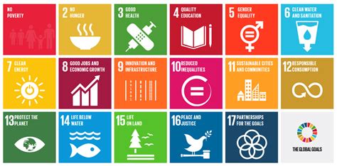 United Nations Sustainable Development Goals Open Pedagogy Assignments ...
