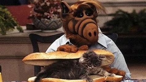 Alf Eating Cats | Know Your Meme