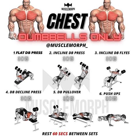 🇺🇲tips.4health’s Instagram photo: “🔥CHEST WORKOUT DUMBBELLS ONLY🔥by… | Rutinas de entrenamiento ...