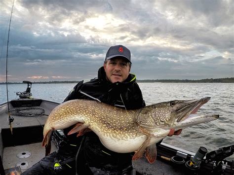 Esox Lucius - World's BiggestPikes ever caught